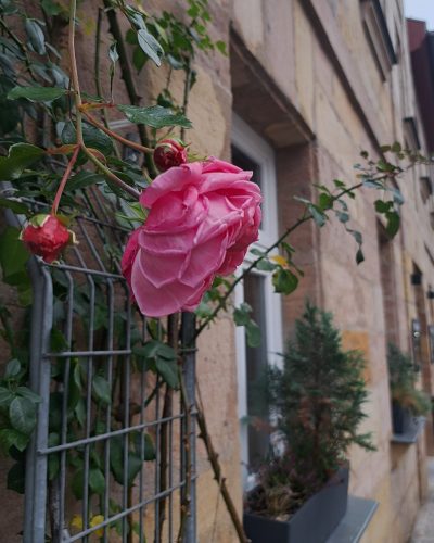 20241106_134446-scaled-e1764932911854